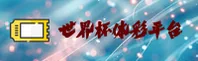 使用指南与常见问题